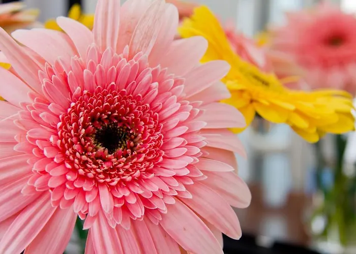 Sea Of Aegeon (adults Only)