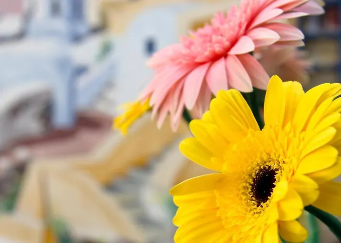 Hotel Sea Of Aegeon (adults Only)